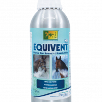 Equivent-1