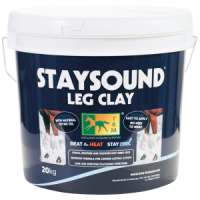 Staysound-300x350